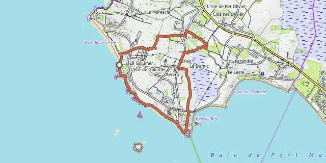 The Cap sur le Bile track on the OpenTopoMap map