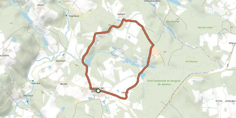 Map of the Boucle des Cheyroux track on the IGN map, with the start and numbered waypoints
