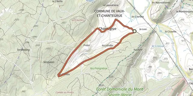 The Le berger des vaches track on the OpenTopoMap map