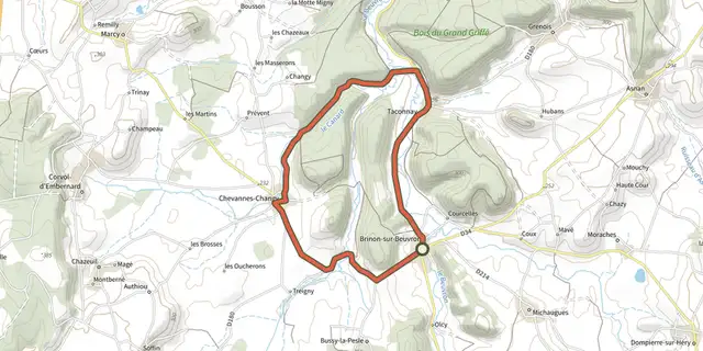 The Brinon Chevannes Changy track on the OpenTopoMap map