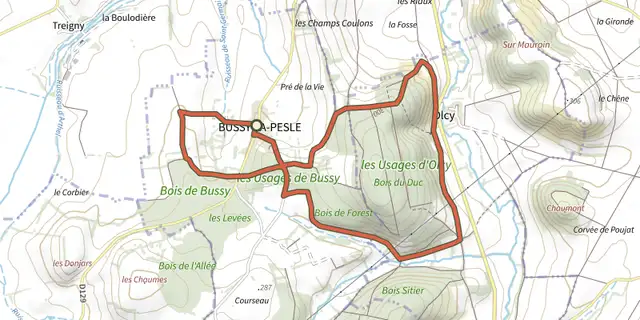 The Randonnee de Bussy la Pesle track on the IGN map
