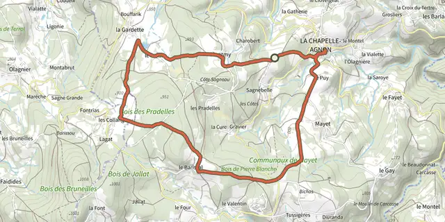 Tracé de Le Bois de Pierre-Blanche sur le Plan IGN