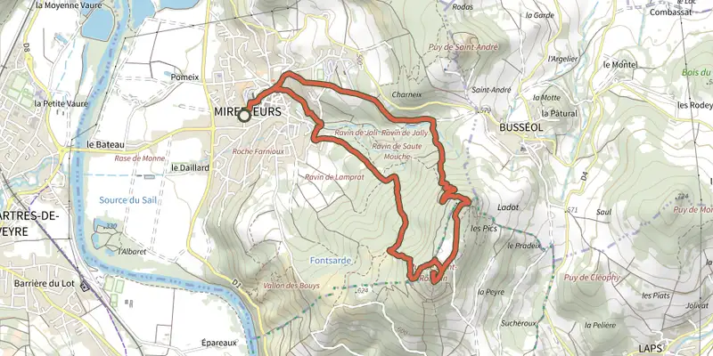 Map of the La forêt du Puy Saint-Romain track on OpenTopoMap, with the start and numbered waypoints