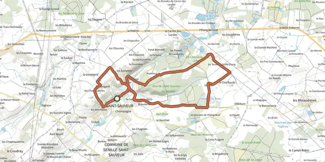 Tracé de Les bois de St Sauveur sur le Plan IGN