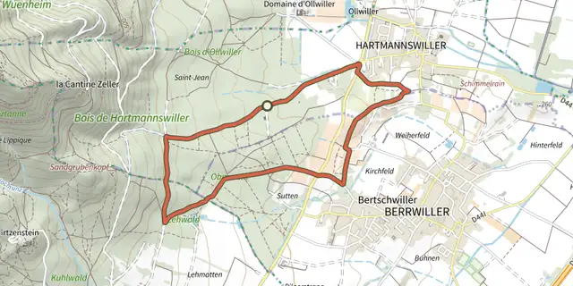 Tracé de Sur les hauteurs de Berrwiller sur le Plan IGN