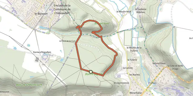 The Boucle du bois d’Aigrefoin track on the OpenTopoMap map