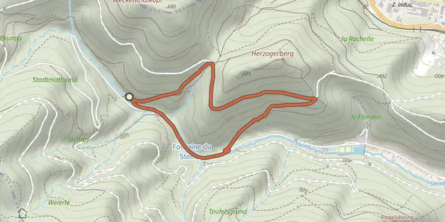 The Circuit du Roi de Rome track on the OpenTopoMap map