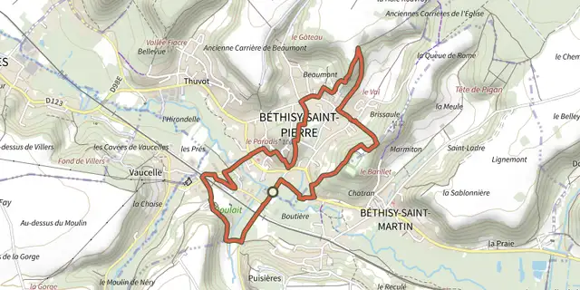 The La Brissaule track on the OpenTopoMap map