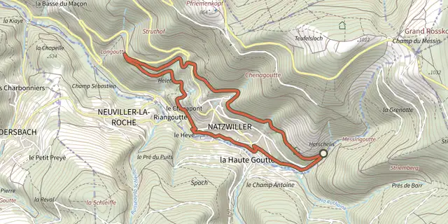 The Promenade Circulaire, Avec Sentier Botanique track on the IGN map