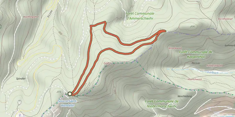 Carte du tracé de Circuit Wineckwald sur le Plan IGN, départ et points de passage numérotés