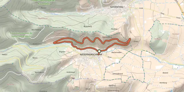 Tracé de Circuit de Niedermorschwihr sur le Plan IGN