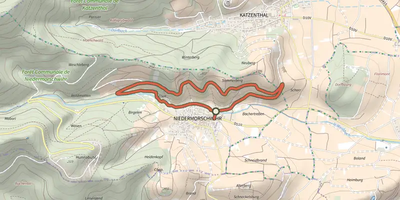 Carte du tracé de Circuit de Niedermorschwihr sur le Plan IGN, départ et points de passage numérotés