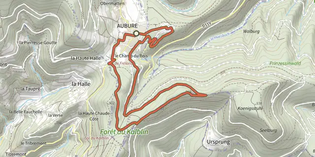 Tracé de Circuit de la Roche du Tétras sur le Plan IGN