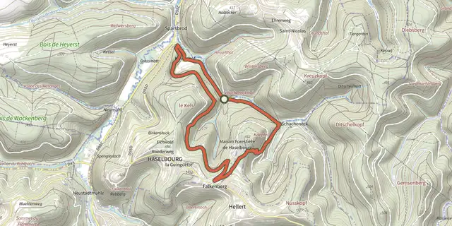 Tracé de Circuit de la Chapelle St. Fridolin sur le Plan IGN