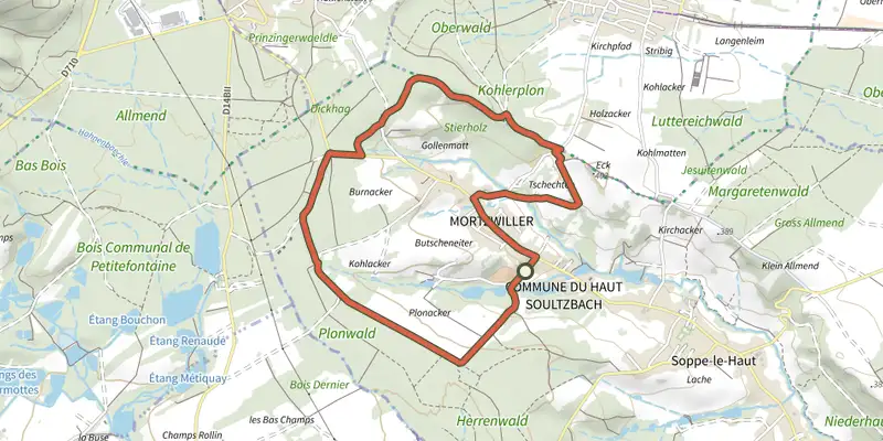 Map of the Circuit Gollenmatt track on OpenTopoMap, with the start and numbered waypoints