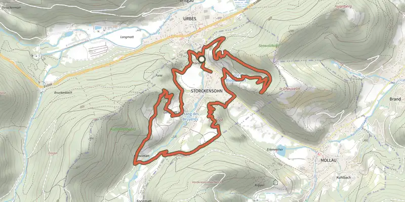 Map of the Le tour de Storckensohn track on the IGN map, with the start and numbered waypoints