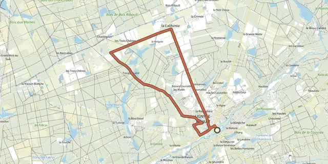 The Boucle Jaune Ligny-le-Ribault track on the IGN map