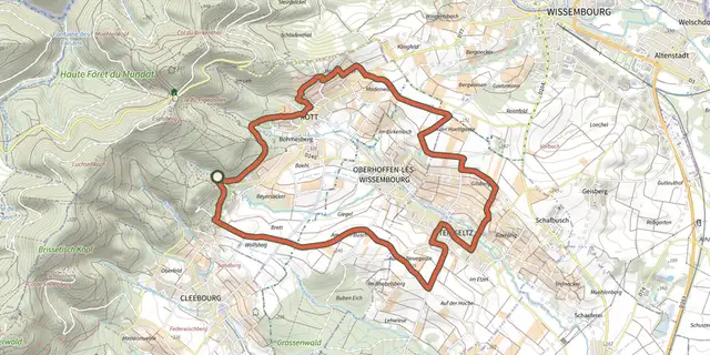 The Sentier arboricole track on the IGN map