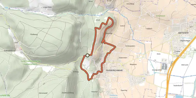 The La promenade du Grand Cru Goldert track on the IGN map