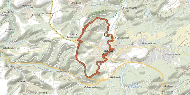 The Circuit panoramique autour de Bitche track on the IGN map