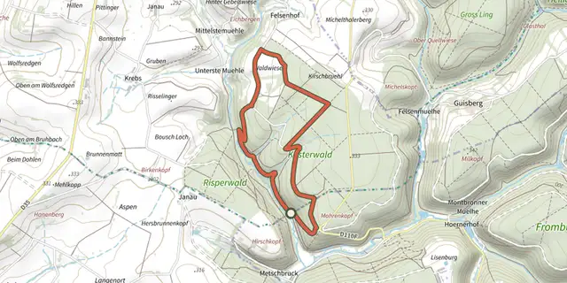 The Big Bining Oak circular hike track on the IGN map