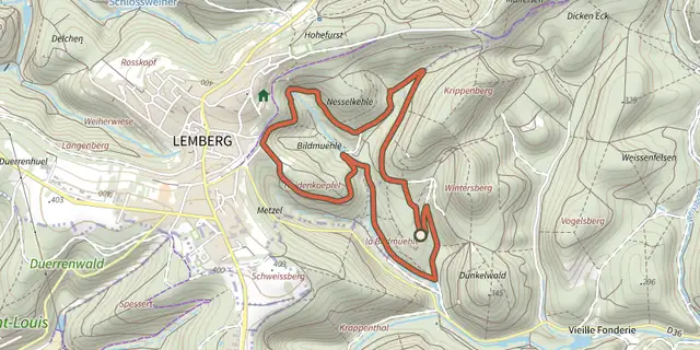The Grand Tour de la Bildmuehle track on the IGN map