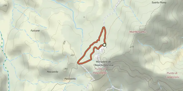 Tracé de Petite boucle du Monastère sur le Plan IGN