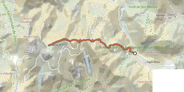 The Chemin de Luviu track on the IGN map