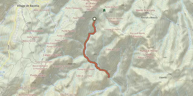 Tracé de Chemin du Carciara amont sur le Plan IGN