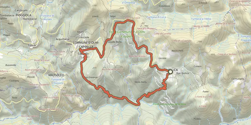 Map of the Boucle d'Alzone track on the IGN map, with the start and numbered waypoints