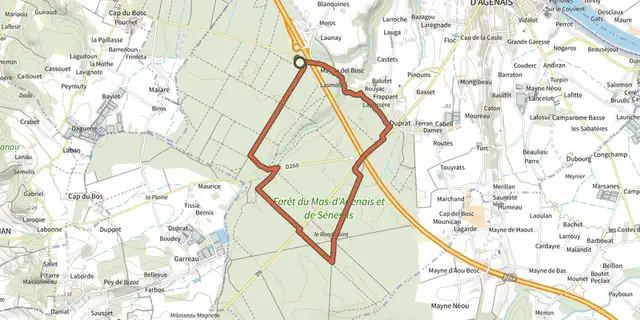 The Le Mas-d'Agenais - Les princes des sous-bois en forêt du Mas track on the IGN map