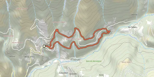 The Chemin des Buis de Camploung asp22 track on the IGN map