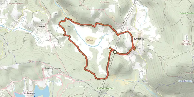 The Tourbière des Dauges - parcours long track on the IGN map