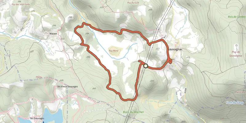 Map of the Tourbière des Dauges - parcours long track on the IGN map, with the start and numbered waypoints