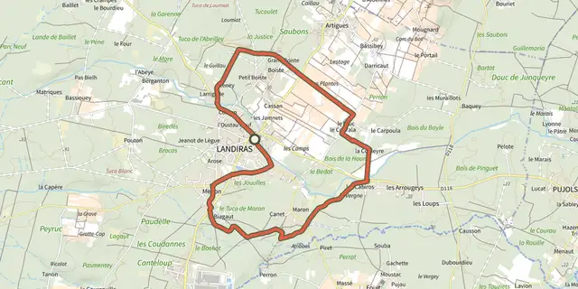 Tracé de Boucle de Landiras nº 1 : boucle locale sur le Plan IGN