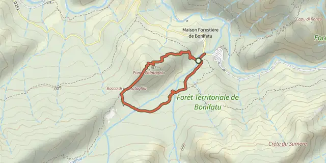 Tracé de Boucle du Calatoghiu sur le Plan IGN