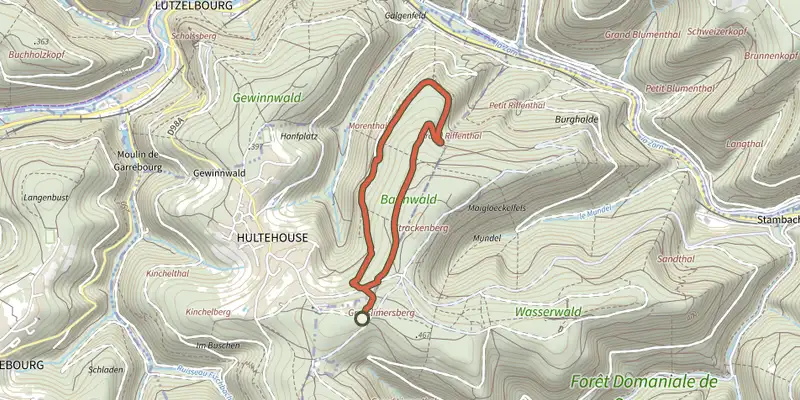 Carte du tracé de Circulaire du Bannwald sur le Plan IGN, départ et points de passage numérotés