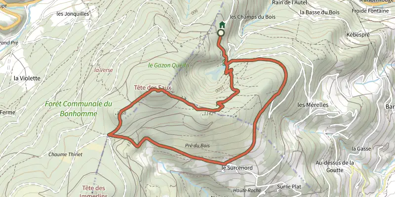 Carte du tracé de Circuit Tête des Faux sur le Plan IGN, départ et points de passage numérotés