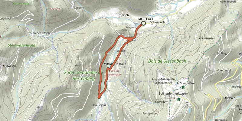 Carte du tracé de Sentier du grand Tétras sur le Plan IGN, départ et points de passage numérotés