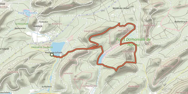 Carte du tracé de Circuit du Falkenstein sur le Plan IGN, départ et points de passage numérotés