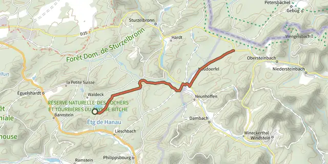 The Blue triangle track on the IGN map