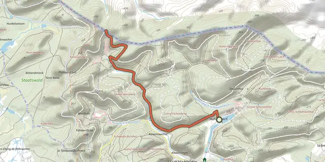 The Yellow cross track on the IGN map