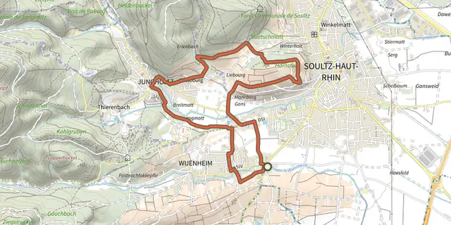 Tracé de Circuit des Cigognes sur le Plan IGN