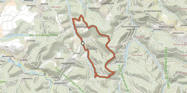 Tracé de Circuit du cimetière gallo-romain sur le Plan IGN