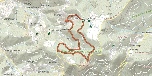 The Autour du Champ du Feu track on the IGN map