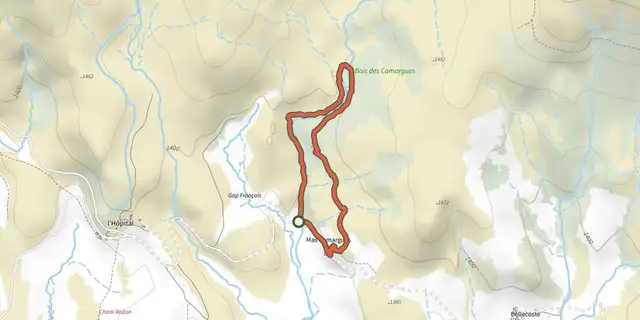 The Mas Camargues track on the IGN map