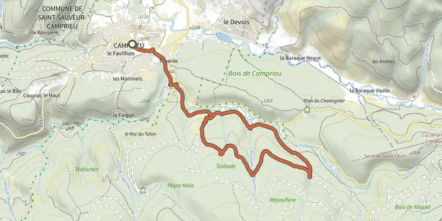 The MTB 6 - Le Trévezel forest - graded green track on the IGN map