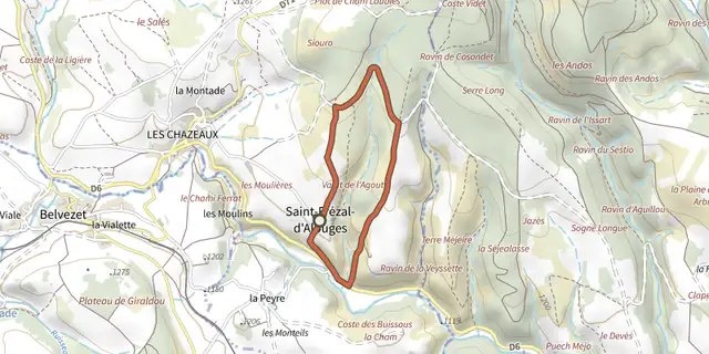 The Chemin des Bois track on the IGN map