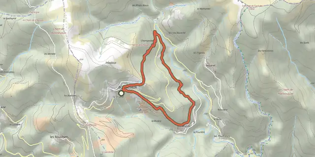 The Les Allègres track on the OpenTopoMap map