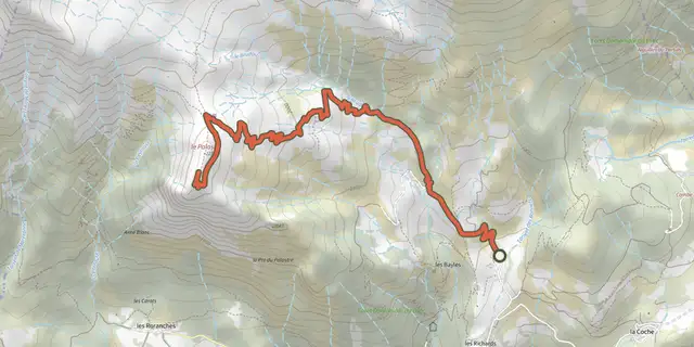 The Le Palastre track on the OpenTopoMap map